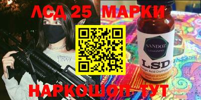 дмт Тара