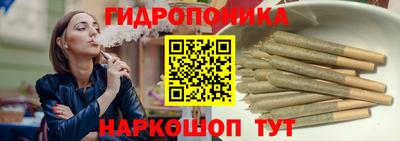 дмт Тара