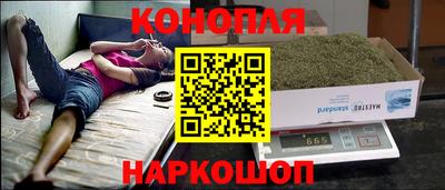 дмт Тара